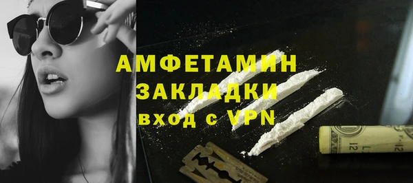 прущие грибы Мегион