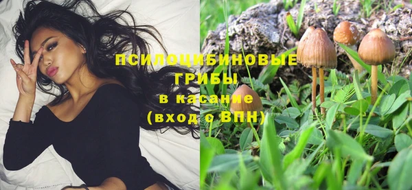 соль курить ск Михайловка