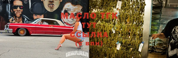 прущие грибы Мегион
