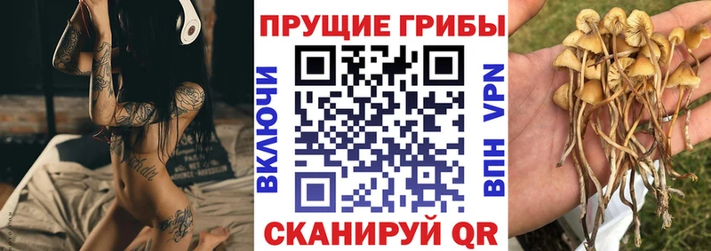 KRAKEN ссылка  Нижняя Салда  Галлюциногенные грибы Psilocybine cubensis 